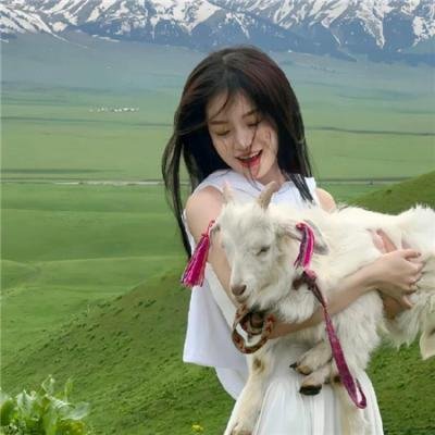 灿烂丁香